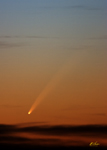 Comet McNaught Jan 07